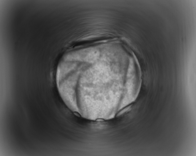 X0000087550378200705251745