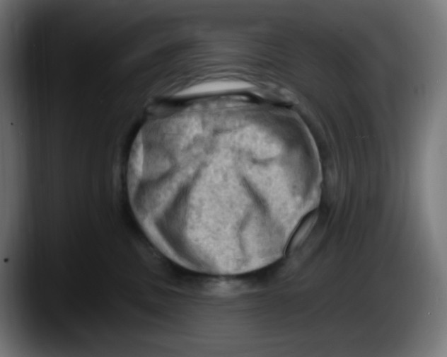 X0000087550379200705251745