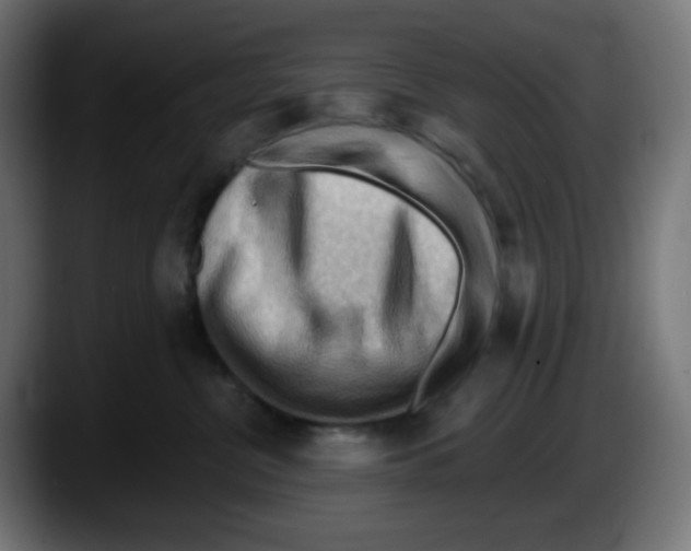 X0000087550380200705251745