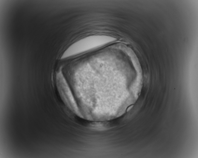 X0000087550381200705251745