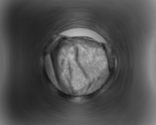 X0000087550382200705251745