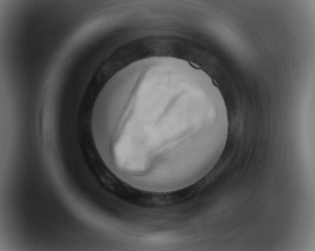 X0000087550383200705251745