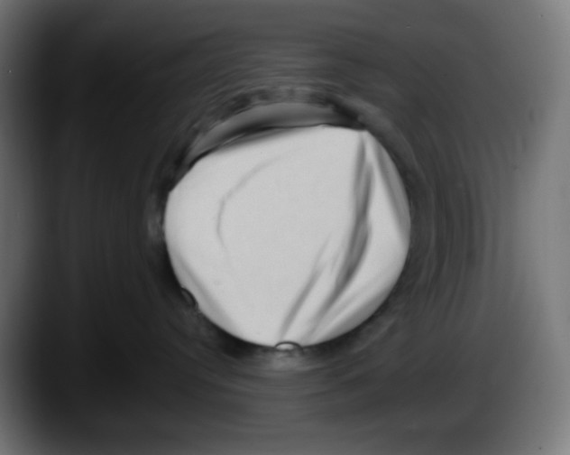 X0000087550384200705251745