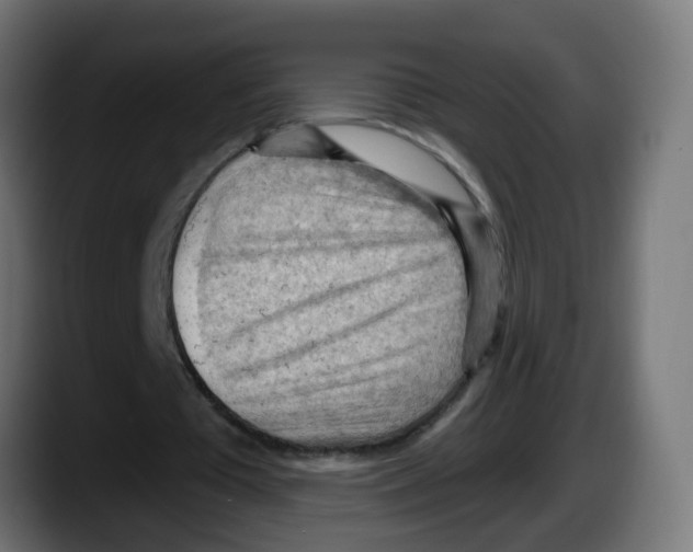X0000087550385200705251744