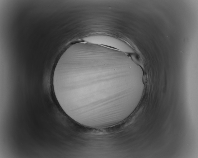 X0000087550386200705251744
