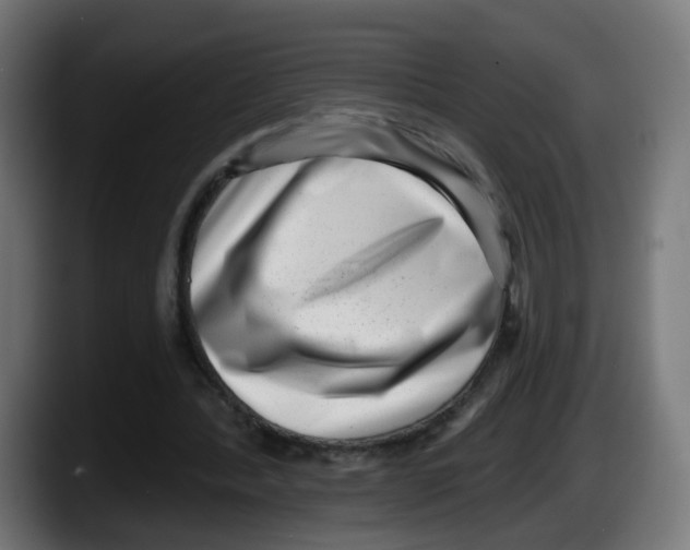 X0000087550388200705251744