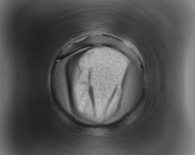 X0000087550389200705251744