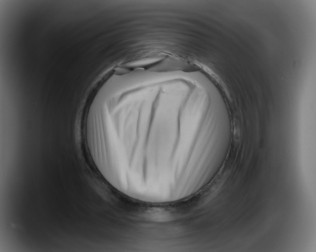 X0000087550390200705251744