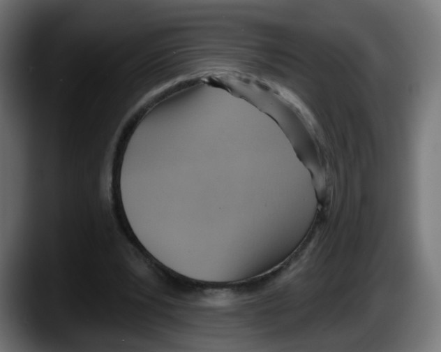 X0000087550391200705251744