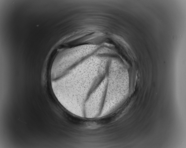 X0000087550392200705251744