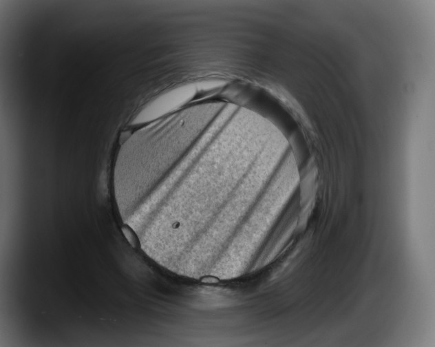 X0000087550393200705251744