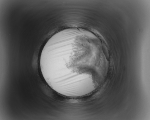 X0000087550394200705251744