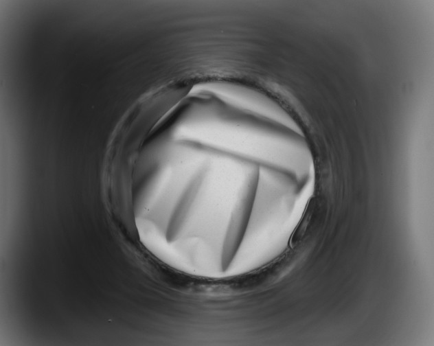X0000087550395200705251744