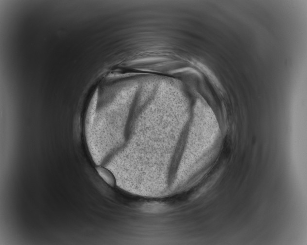 X0000087550397200705251744