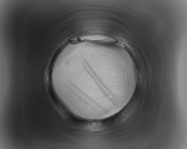 X0000087550398200705251744
