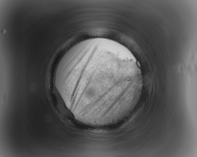 X0000087550400200705251744