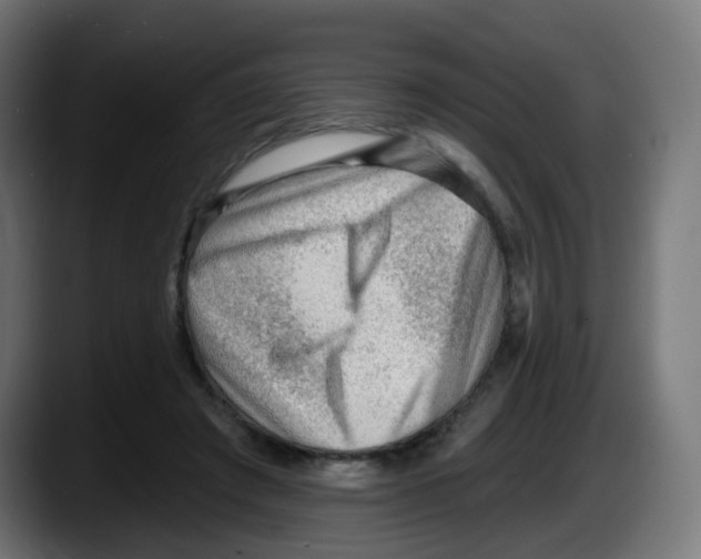 X0000087550401200705251744