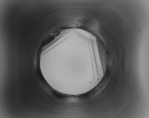 X0000087550402200705251744