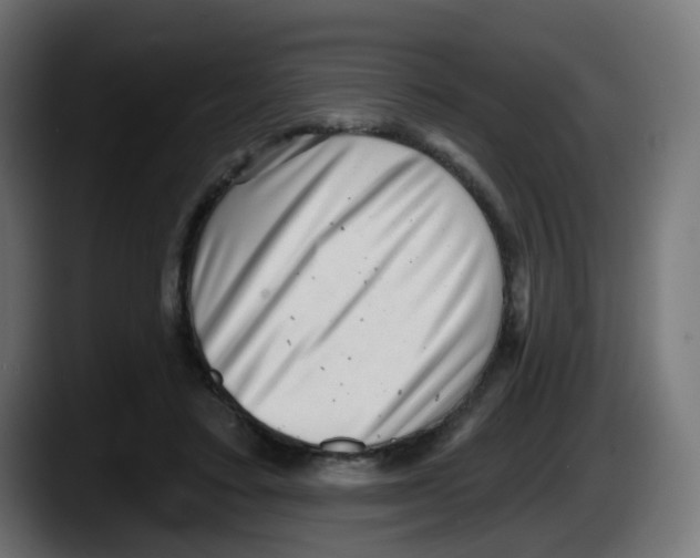 X0000087550403200705251744