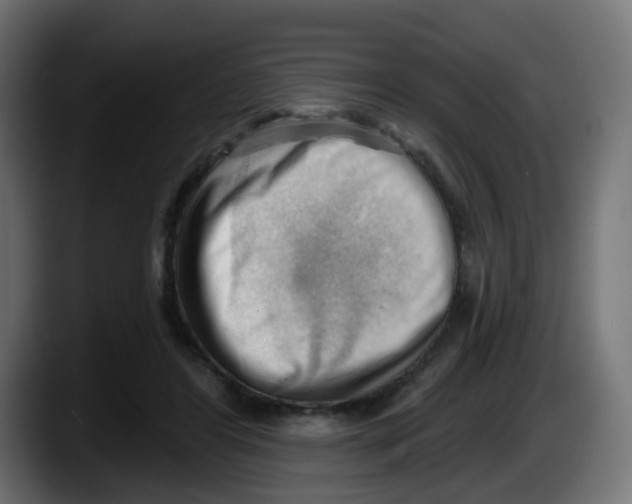 X0000087550404200705251744