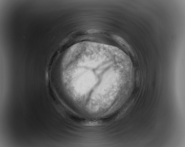 X0000087550405200705251744