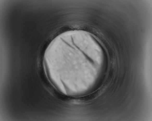 X0000087550408200705251744