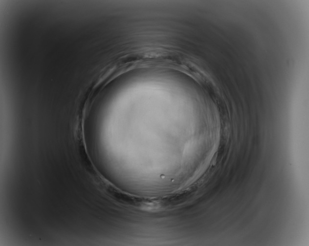 X0000087550411200705251744