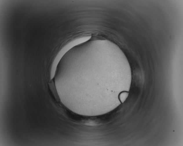 X0000087550412200705251744
