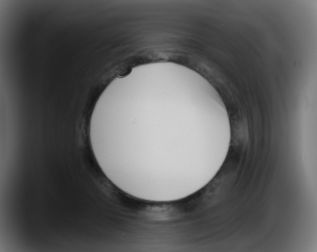 X0000087550414200705251744