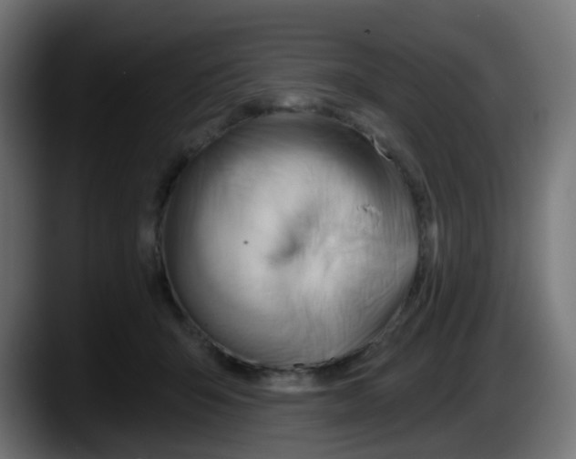 X0000087550415200705251744