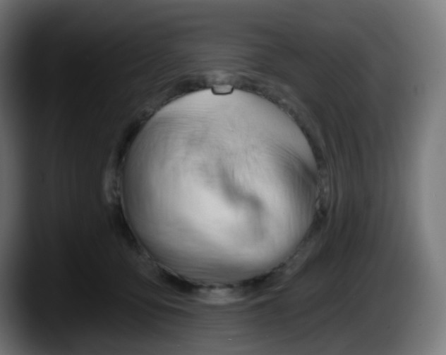 X0000087550419200705251744