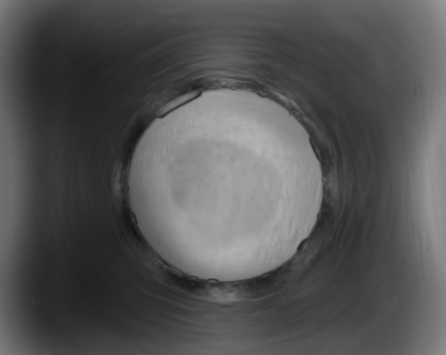 X0000087550423200705251744