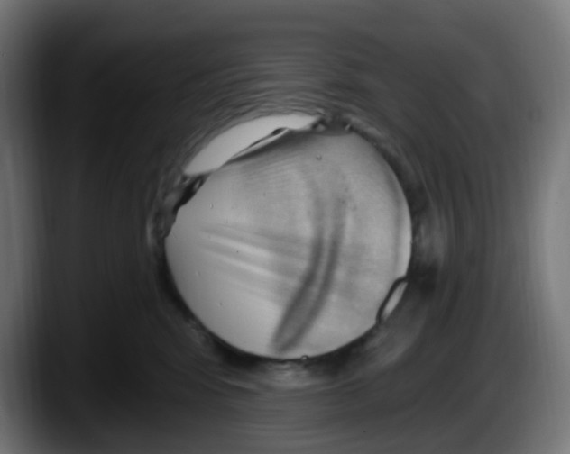 X0000087550424200705251744