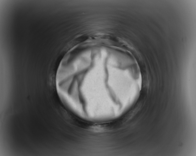 X0000087550425200705251744