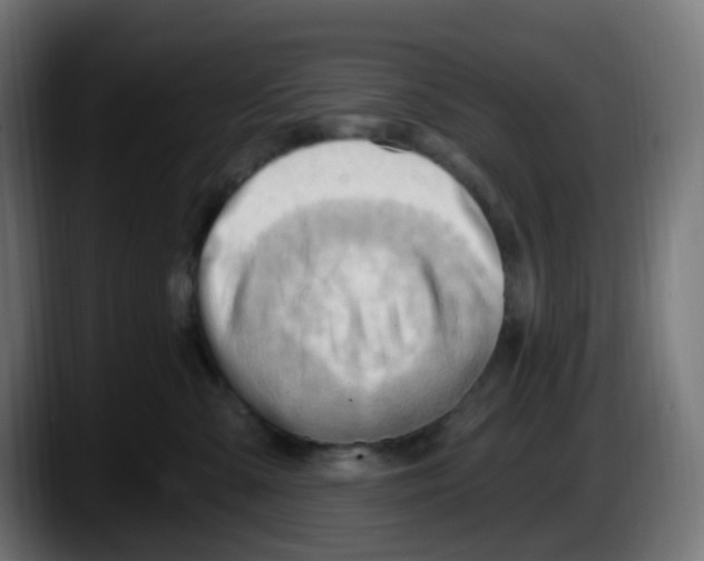 X0000087550427200705251744