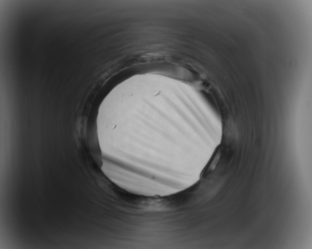 X0000087550428200705251744