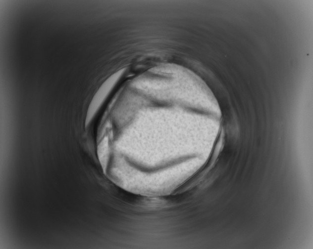 X0000087550429200705251744