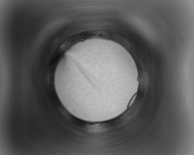 X0000087550430200705251744