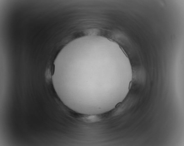 X0000087550431200705251744