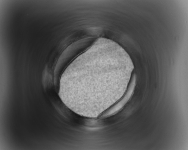 X0000087550432200705251744