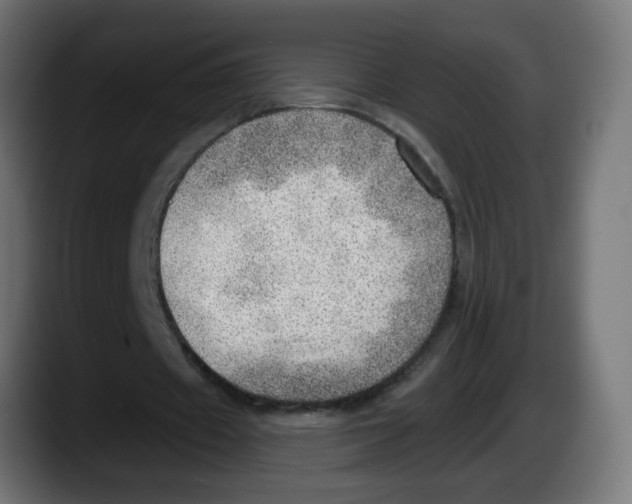 X0000087550433200705251743