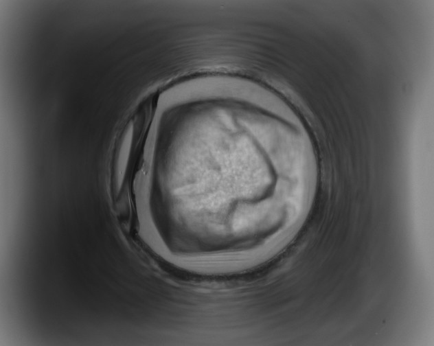 X0000087550434200705251743