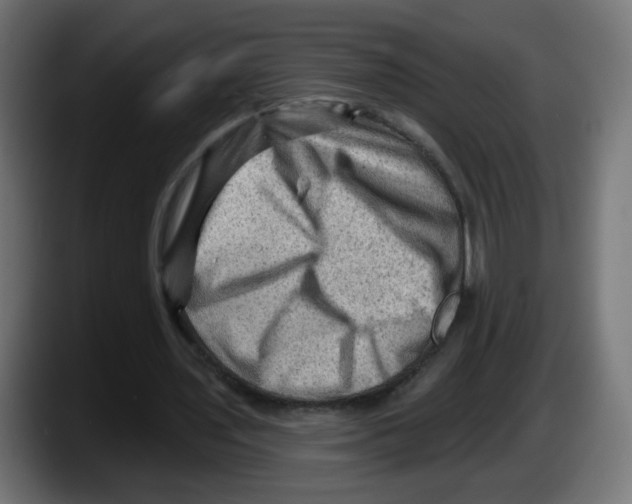 X0000087550435200705251743