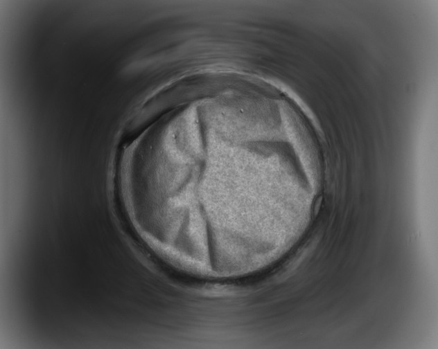 X0000087550437200705251743