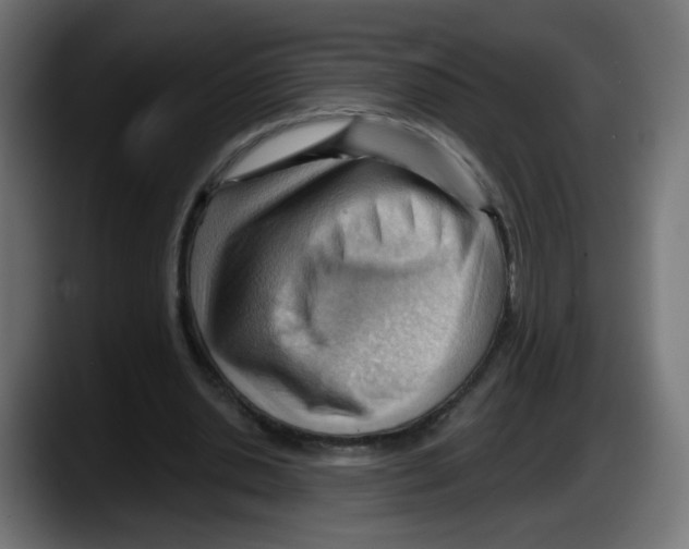 X0000087550438200705251743