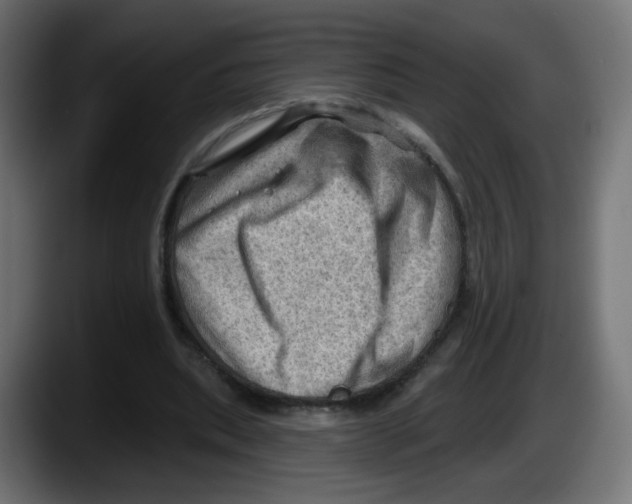 X0000087550439200705251743