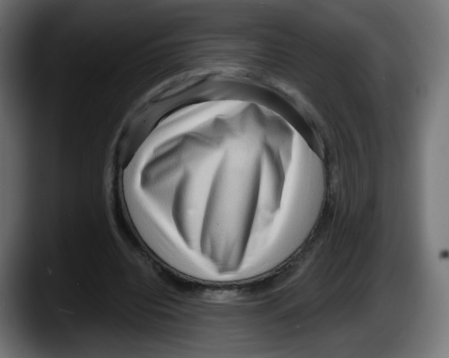 X0000087550440200705251743