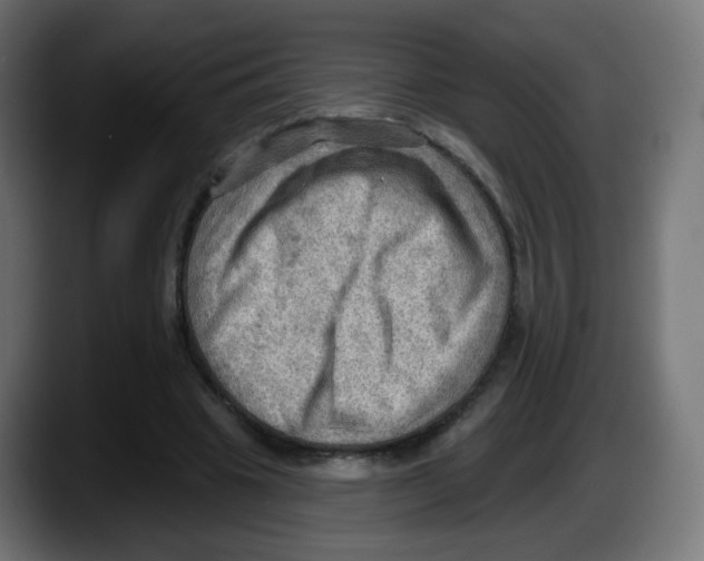 X0000087550441200705251743