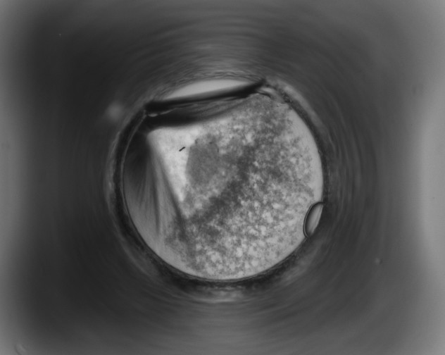 X0000087550443200705251743