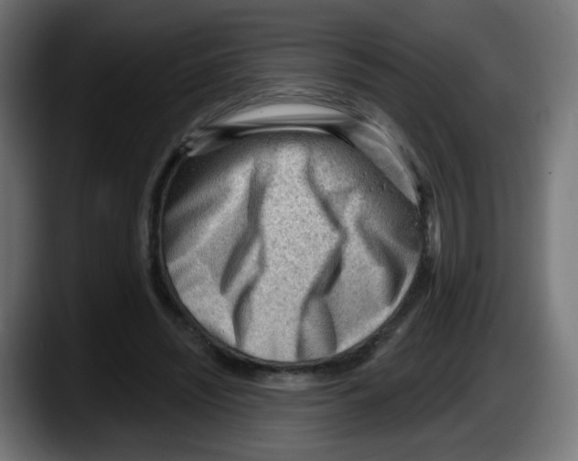 X0000087550444200705251743